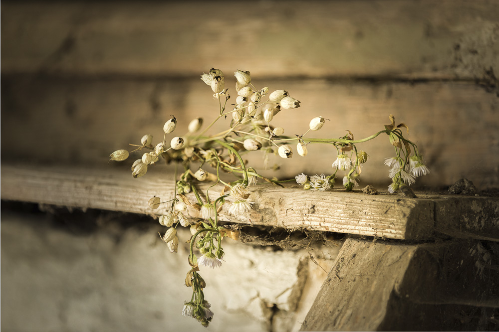 Platz 4 Conny Kleiner